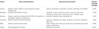 Public Attitudes During the Second Lockdown: Sentiment and Topic Analyses Using Tweets From Ontario, Canada